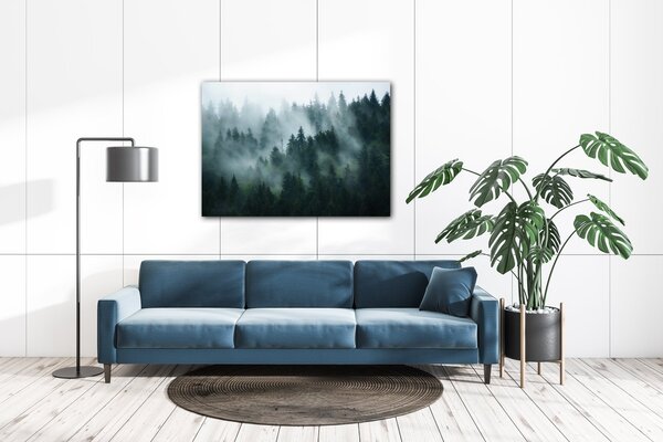 Impresi Obraz Les v mlze - 70 x 50 cm