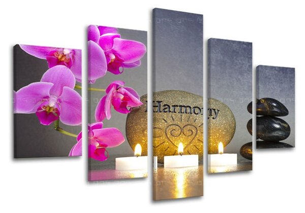 5dílný obraz na stěnu FENG SHUI - 100x80 cm
