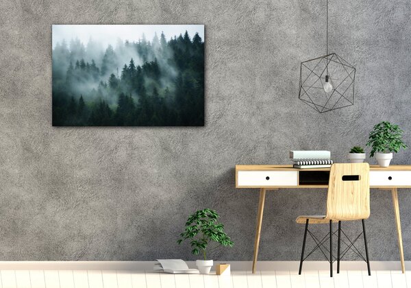 Impresi Obraz Les v mlze - 60 x 40 cm