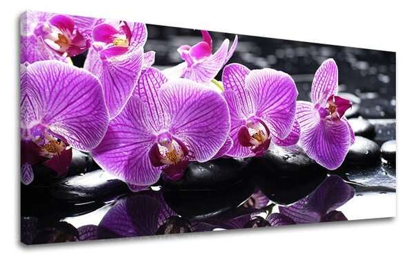 Obraz na stěnu PANORAMA FENG SHUI - 30x60 cm