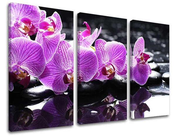 3dílný obraz na stěnu FENG SHUI - 120x80 cm