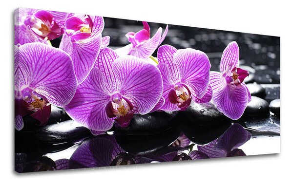 Obraz na stěnu PANORAMA FENG SHUI - 30x60 cm