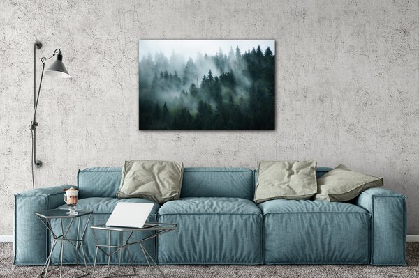 Impresi Obraz Les v mlze - 60 x 40 cm