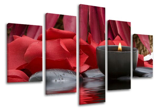5dílný obraz na stěnu FENG SHUI - 100x80 cm