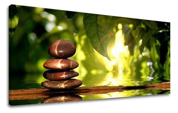 Obraz na stěnu PANORAMA FENG SHUI - 30x60 cm