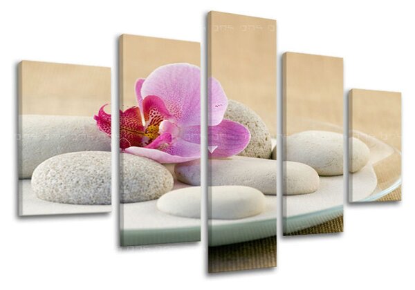 5dílný obraz na stěnu FENG SHUI - 100x80 cm