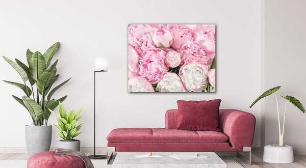 Impresi Obraz Růžové pivoňky - 90 x 70 cm