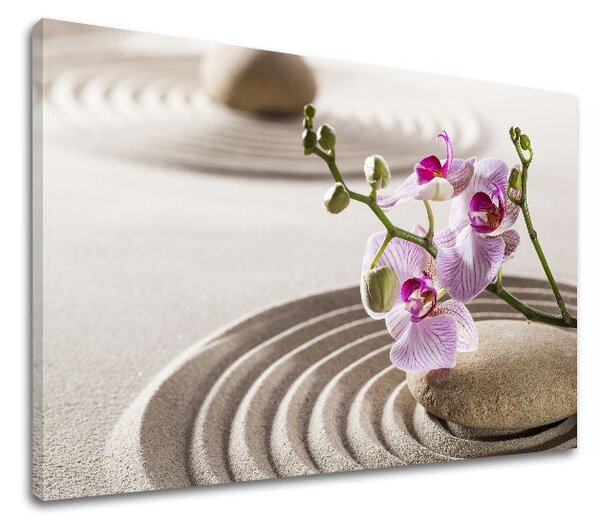Obraz na plátně FENG SHUI_051-11 - 20x30 cm
