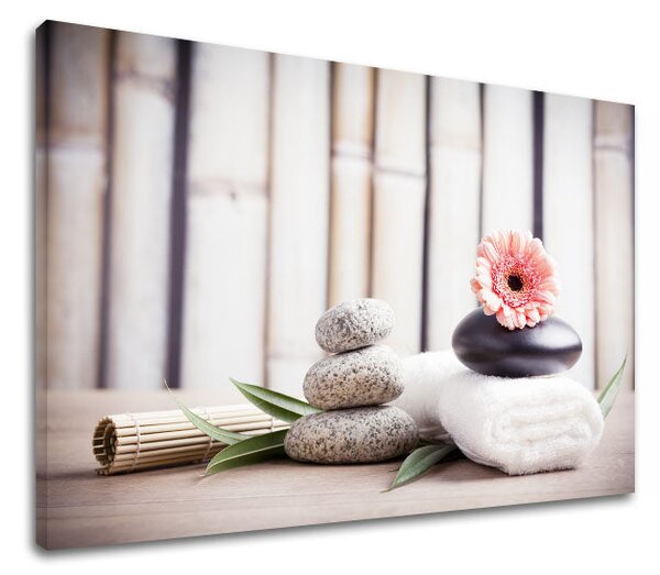 Obraz na plátně FENG SHUI_053-11 - 20x30 cm