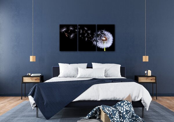 Impresi Obraz Pampeliška na černém pozadí - 120 x 60 cm (3 dílný)