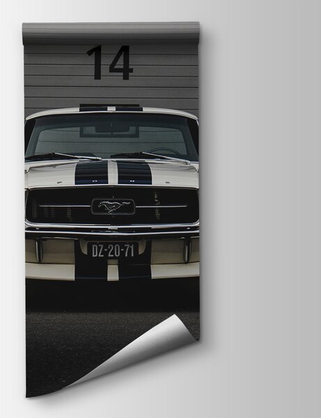 Fototapeta Auto zaparkované před garážovými vraty, Designové fototapety na zeď, Populární fototapety, u95536 - Tapeko.co.cz