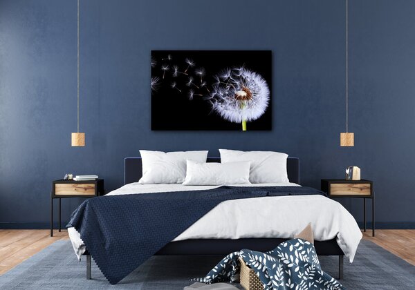 Impresi Obraz Pampeliška na černém pozadí - 60 x 40 cm