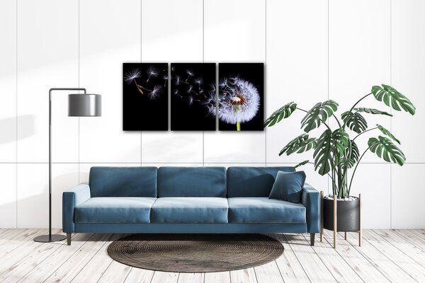 Impresi Obraz Pampeliška na černém pozadí - 120 x 60 cm (3 dílný)