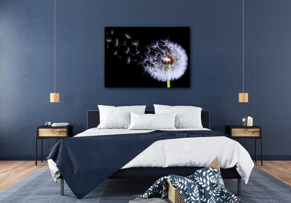 Impresi Obraz Pampeliška na černém pozadí - 70 x 50 cm