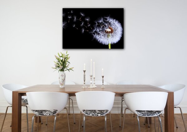 Impresi Obraz Pampeliška na černém pozadí - 60 x 40 cm