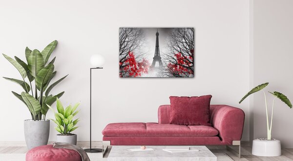 Impresi Obraz Eiffelova věž černobílá s červeným detailem - 60 x 40 cm