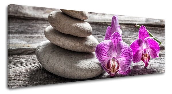 Obraz na plátně FENG SHUI_060-13 - 20x60 cm