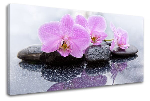 Obraz na plátně FENG SHUI_062-11 - 30x60 cm