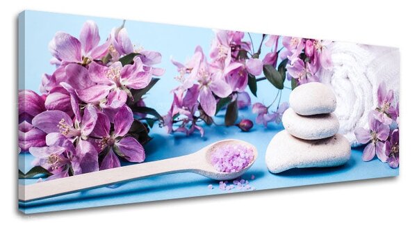 Obraz na plátně FENG SHUI_061-13 - 20x60 cm
