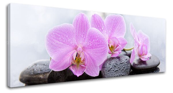 Obraz na plátně FENG SHUI_062-13 - 20x60 cm