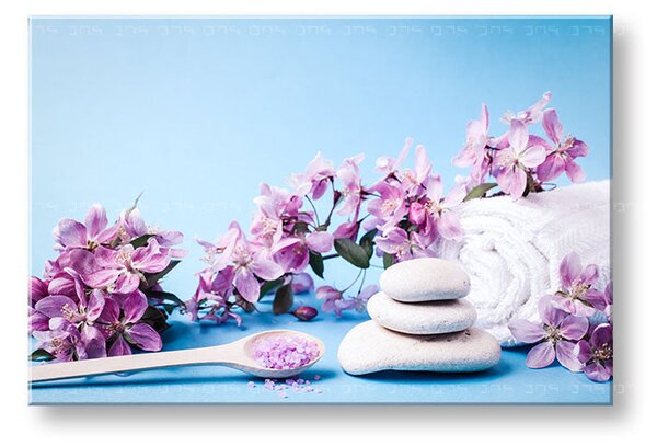Obraz na plátně FENG SHUI_061-11 - 20x30 cm