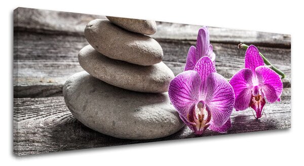 Obraz na plátně FENG SHUI_060-13 - 20x60 cm