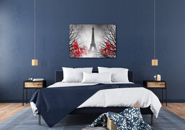Impresi Obraz Eiffelova věž černobílá s červeným detailem - 70 x 50 cm