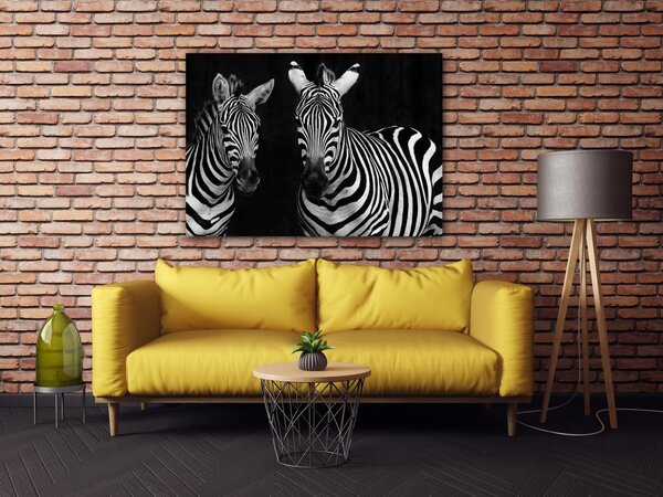 Impresi Obraz Dvě zebry černobílé - 70 x 50 cm