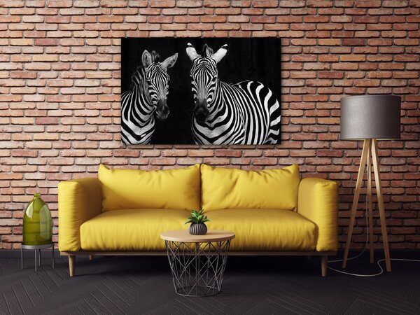 Impresi Obraz Dvě zebry černobílé - 60 x 40 cm