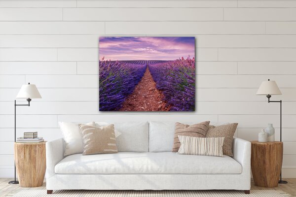 Impresi Obraz Levandulové pole - 90 x 70 cm