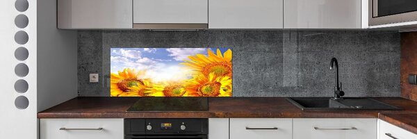 Dekorační panel sklo Slunečníky pksh-55529240