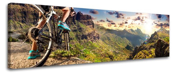 Obraz na stěnu Super Panorama INSPIRACE - 20x60 cm