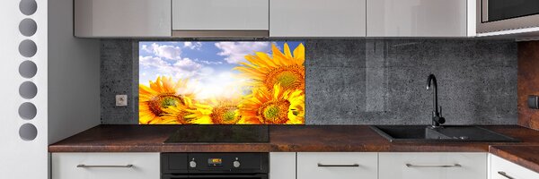 Dekorační panel sklo Slunečníky pksh-55529240