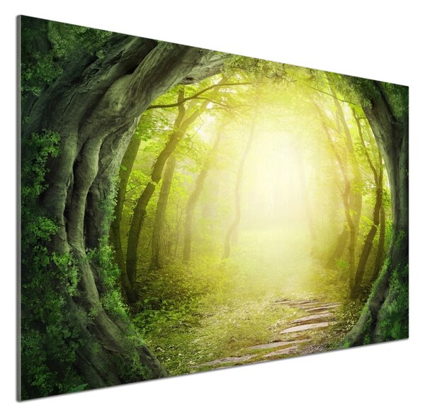 Panel do kuchyně Tunel ze stromů pksh-55464163
