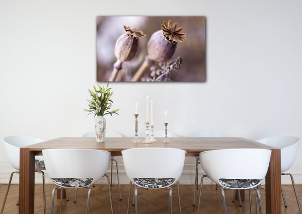 Impresi Obraz Suché květy skandinávský styl - 50 x 30 cm