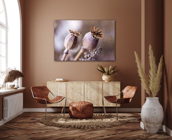 Impresi Obraz Suché květy skandinávský styl - 60 x 40 cm