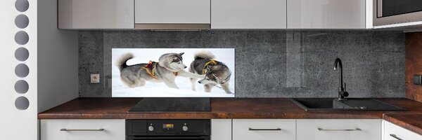 Dekorační panel sklo Hasky zima pksh-56011790