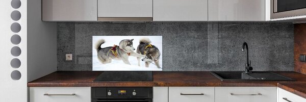 Dekorační panel sklo Hasky zima pksh-56011790