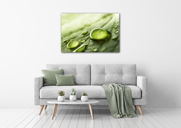 Impresi Obraz Kapky vody na listu - 60 x 40 cm