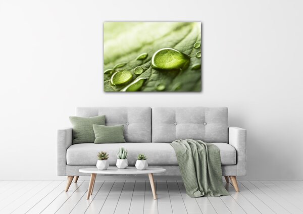Impresi Obraz Kapky vody na listu - 70 x 50 cm