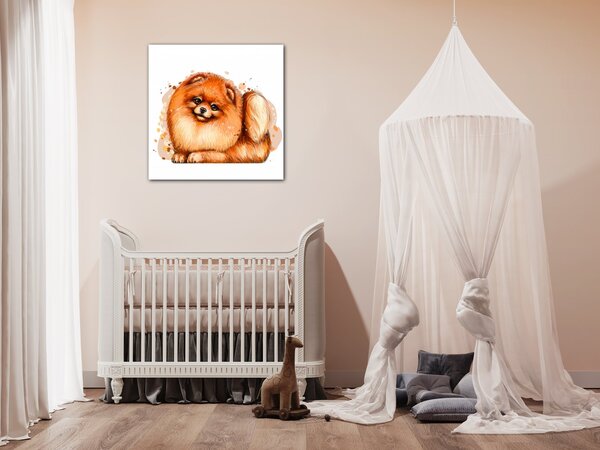 Impresi Obraz Pejsek Pomeranian - 20 x 20 cm