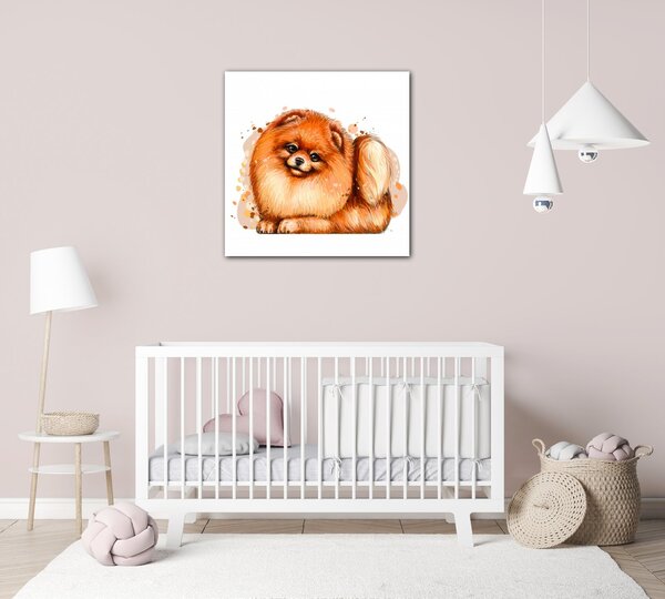 Impresi Obraz Pejsek Pomeranian - 20 x 20 cm