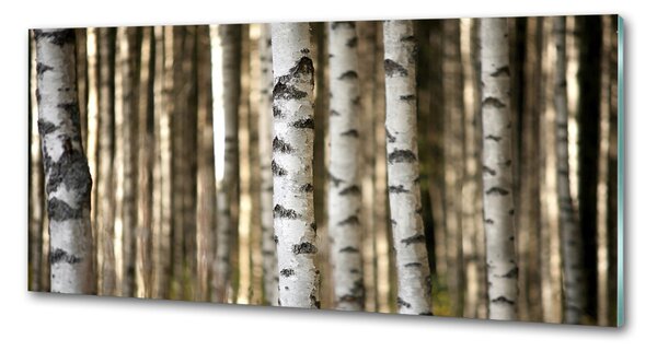 Skleněný panel do kuchyně Břízy pksh-56871841