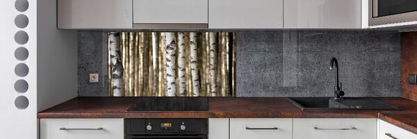 Skleněný panel do kuchyně Břízy pksh-56871841