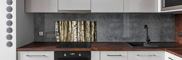 Skleněný panel do kuchyně Břízy pksh-56871841