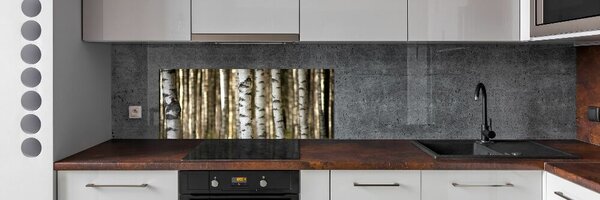 Skleněný panel do kuchyně Břízy pksh-56871841