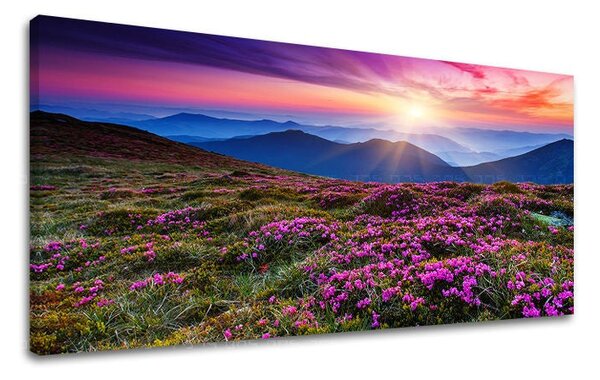 Obraz na stěnu PANORAMA KRAJINA - 30x60 cm