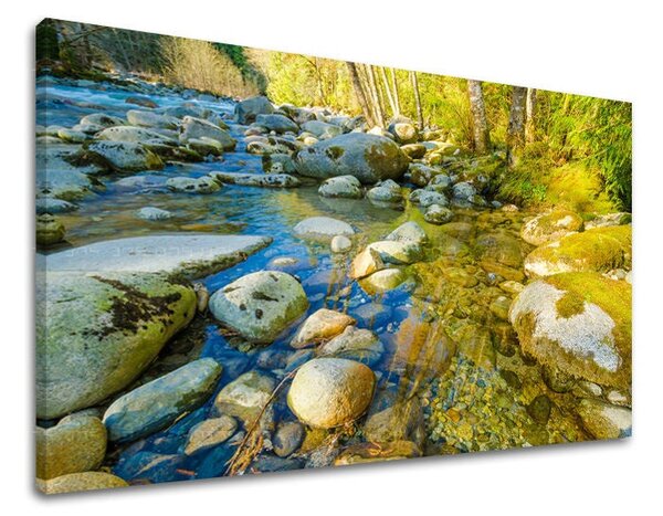 Obraz na stěnu KRAJINA - 20x30 cm