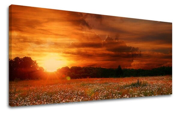 Obraz na stěnu PANORAMA KRAJINA - 30x60 cm