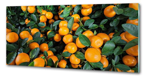 Dekorační panel sklo Mandarinky pksh-57364475